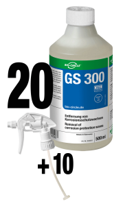 GS 300