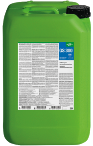 GS 300